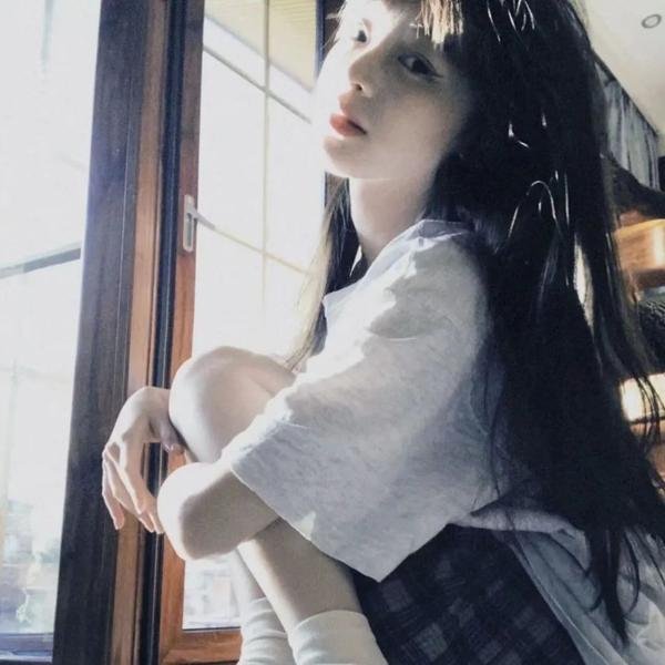 摄影师贝尔蒂与海豚零距离